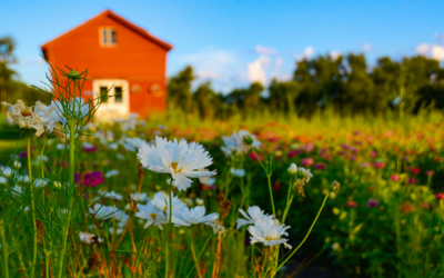 Unlock Homeownership With a USDA Loan for Rural Living