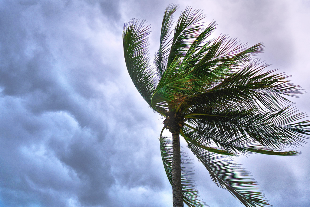 prepare your home for hurricane season