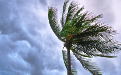Prepare Your Home for Hurricane Season: 7 Essential Homeownership Tips