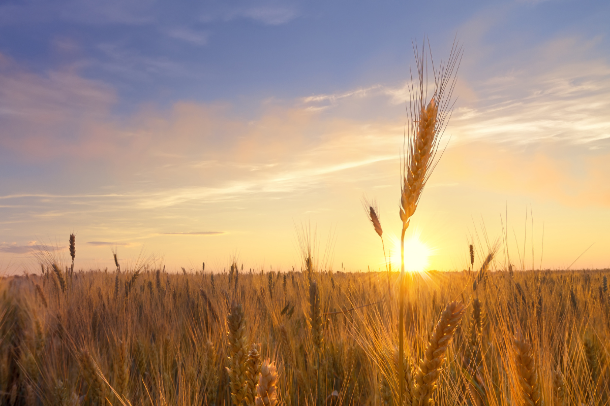 Hobby Farm Loan Program